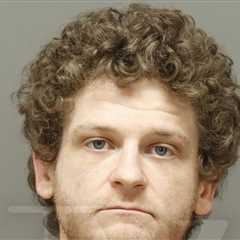 'The Hunger Games' Actor Ethan Jamieson Arrested for Protective Order Violation