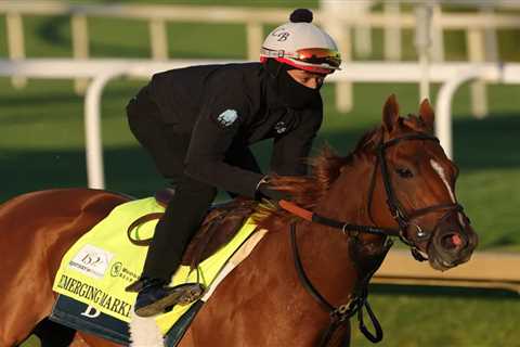 Kentucky Derby 2026: The Post’s experts make picks for the 152nd Kentucky Derby at Churchill Downs