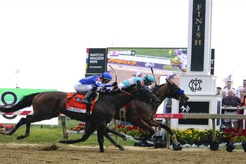 2026 Preakness odds, post positions: Chad C. Brown’s Iron Honor tagged as the favorite