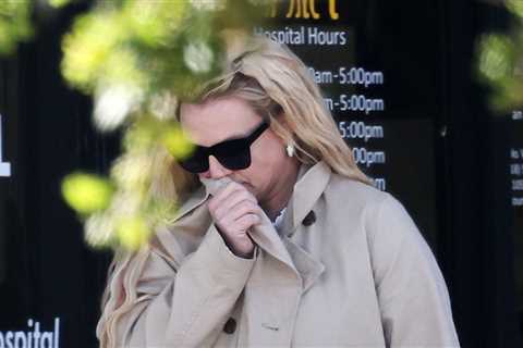 Britney Spears Spotted for First Time Since Restaurant Meltdown
