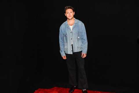 Niall Horan Talks Writing ‘End of an Era’ About Late 1D Bandmate Liam Payne: ‘Hope It Means as Much ..