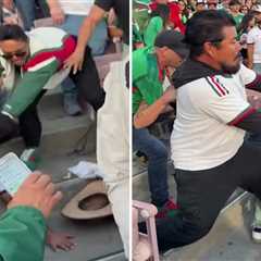 Mexico-Australia friendly spoiled by wild fan brawl at Rose Bowl