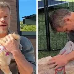 This Heartwarming Video Of Matt Damon Talking About His 5 Rescue Dogs Is Making People Emotional —..