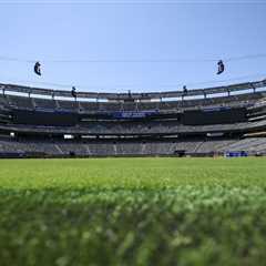 Why World Cup venues are installing grass fields to replace turf — and the years-long quest to get..