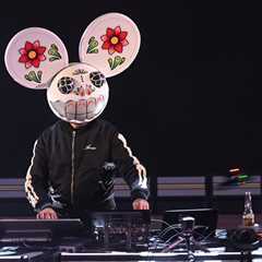deadmau5 Is Expanding His Family in the Most Purr-ecious Way — by Adopting a New Cat He Helped