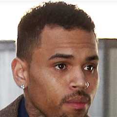 Chris Brown Testifies He Didn't Call 911 After Dog Attack on Housekeeper, Feared Call Would Leak