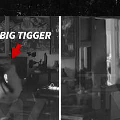 Big Tigger Appears to Assault Wife Alicia on Ring Camera Video