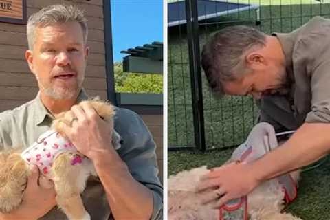 This Heartwarming Video Of Matt Damon Talking About His 5 Rescue Dogs Is Making People Emotional —..