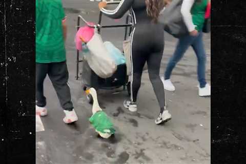 Mexico Fans Dress Duck For World Cup, Wild Scenes From Day 1