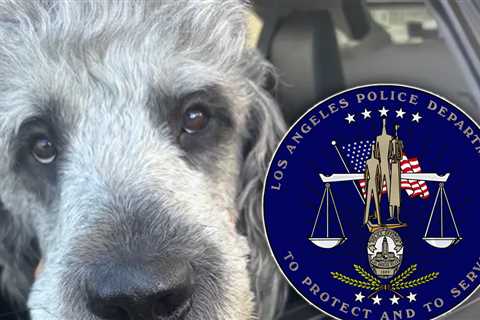 LAPD Chief Promises Full and Comprehensive Review On Fatal Dog Shooting