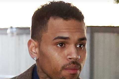 Chris Brown Testifies He Didn't Call 911 After Dog Attack on Housekeeper, Feared Call Would Leak