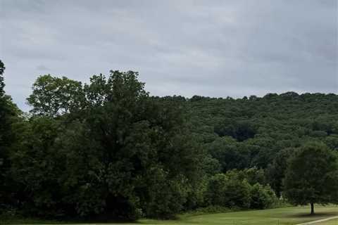 Austin Reaves’ girlfriend shares Lakers star’s priceless golf course reaction to $185 million..