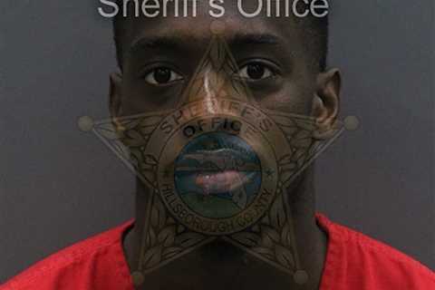 Shocking details revealed as Terrion Arnold accused of masterminding kidnap plot over $250,000..