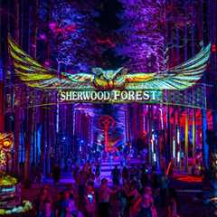 Body of Illinois Man Reported Missing After Electric Forest Found in Wooded Area Near Festival