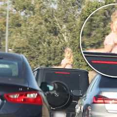 Britney Spears Chaotic Behavior On L.A. Freeway Months After DUI Arrest
