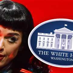Katy Perry Erupts on Trump Administration for Using 'Firework' in Military Video
