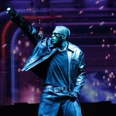 Chris Brown’s Ex-Housekeeper Wants to Dip Into R&B Tour Profits for $13 Million Dog Attack Verdict
