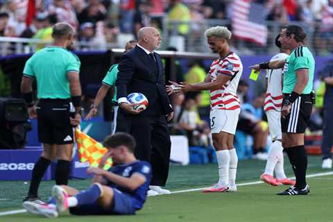 Bosnia-Herzegovina coach grabs ball, gets yellow card as he flips out in World Cup loss to USMNT