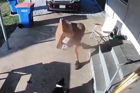 UPS Driver Hits Dog With Package, Tries to Fight Owner on Video