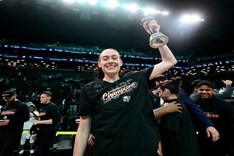 Liberty star Breanna Stewart makes All-Star team for eighth time