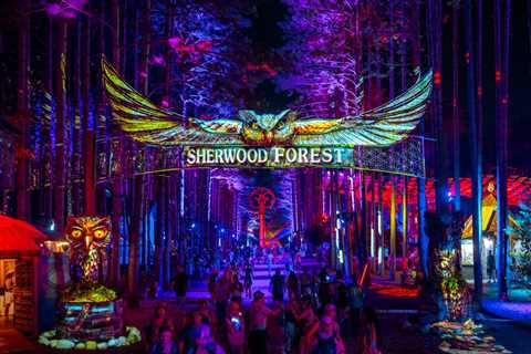 Body of Illinois Man Reported Missing After Electric Forest Found in Wooded Area Near Festival