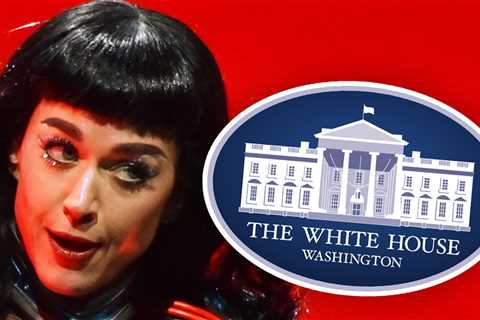 Katy Perry Erupts on Trump Administration for Using 'Firework' in Military Video