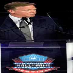 NFL Commissioner Roger Goodell gives update on league status of 49ers owner Jed York