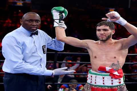 Boxer dead at 33 one decade after coma