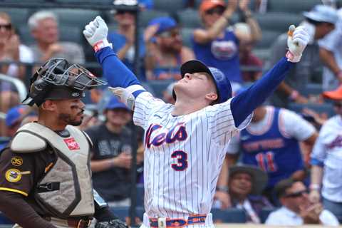 The hope the Mets can take from the upstart White Sox