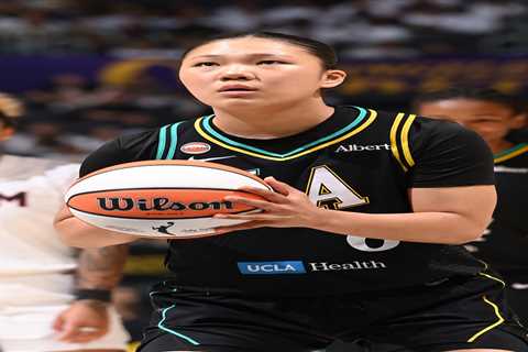 Alleged sex toy thrower arrested after interrupting WNBA game — and stern punishment delivered