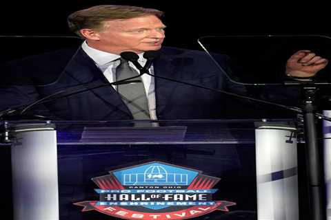 NFL Commissioner Roger Goodell gives update on league status of 49ers owner Jed York