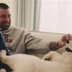 Taylor Swift and Travis Kelce's Dog Makes Modeling Debut, Name Revealed