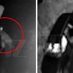Montana Bear Breaks Into Car in Wild Video
