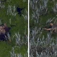 Florida DUI Suspect Drops Baby, Toddler in Gator-Infested Swamp While Fleeing Cops