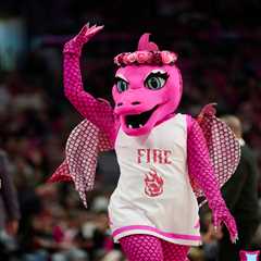 ‘Is it nonbinary?’: WNBA owner dishes on debate over mascot gender identity