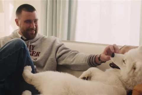 Taylor Swift and Travis Kelce's Dog Makes Modeling Debut, Name Revealed