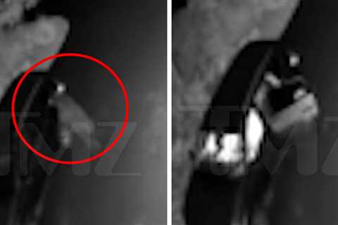 Montana Bear Breaks Into Car in Wild Video
