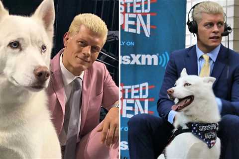 WWE's Cody Rhodes Mourns Death Of Dog Pharaoh, 'You Did Your Job'