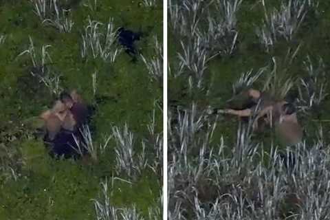 Florida DUI Suspect Drops Baby, Toddler in Gator-Infested Swamp While Fleeing Cops