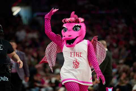 ‘Is it nonbinary?’: WNBA owner dishes on debate over mascot gender identity