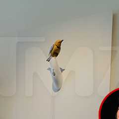 Kelly Clarkson Store Feud: Art of Play Singing Bird Now on Sale for $15M