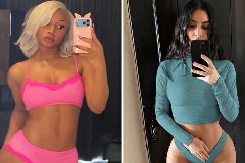 Megan Thee Stallion vs. Kim Kardashian Curvy Cuties Edition