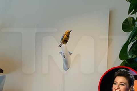 Kelly Clarkson Store Feud: Art of Play Singing Bird Now on Sale for $15M